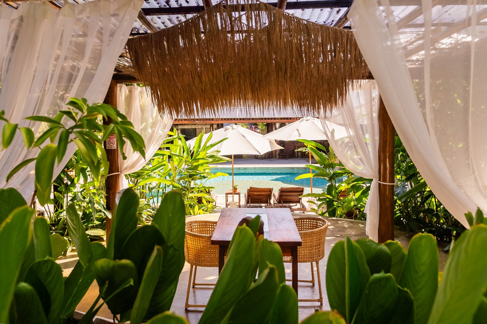 Paraíso Ecológico · galeria 07